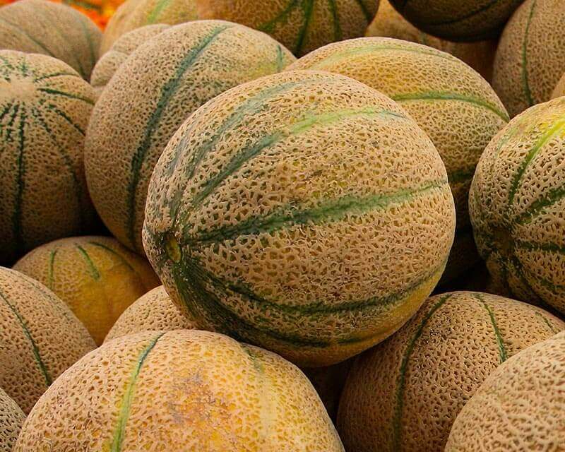 Meloa Cantalope